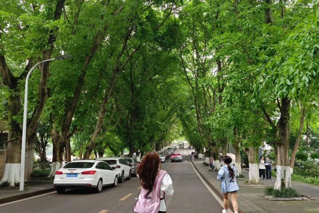 5月16日欢迎光临888集团网站开展第十三届“筑梦启航”体育文化节定向越野竞赛圆满收官 原图2.jpg